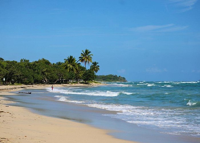 Playa Dorada - Transportation to Amber Cove and Taino Bay